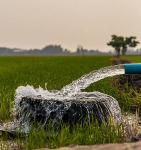 Borewell Small Irrigation